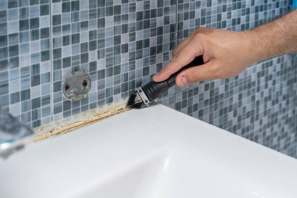 Best Attic Mold Removal  in Osburn, ID