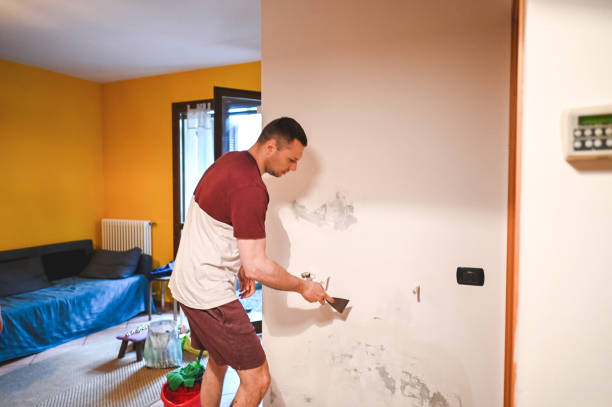 Best Affordable Mold Removal  in Osburn, ID