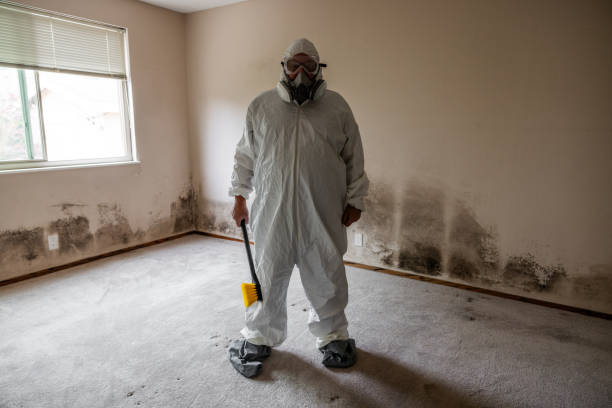 Crawl Space Mold Removal in Osburn, ID