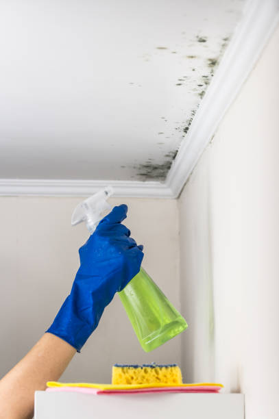 Water Damage Restoration in Osburn, ID